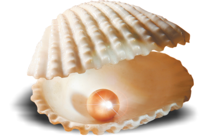 background colour for image is white