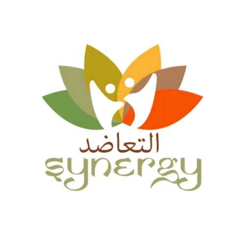 Synergy Concept Logo